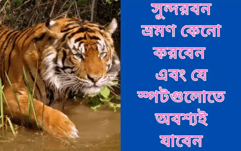 সুন্দরবন ভ্রমণ