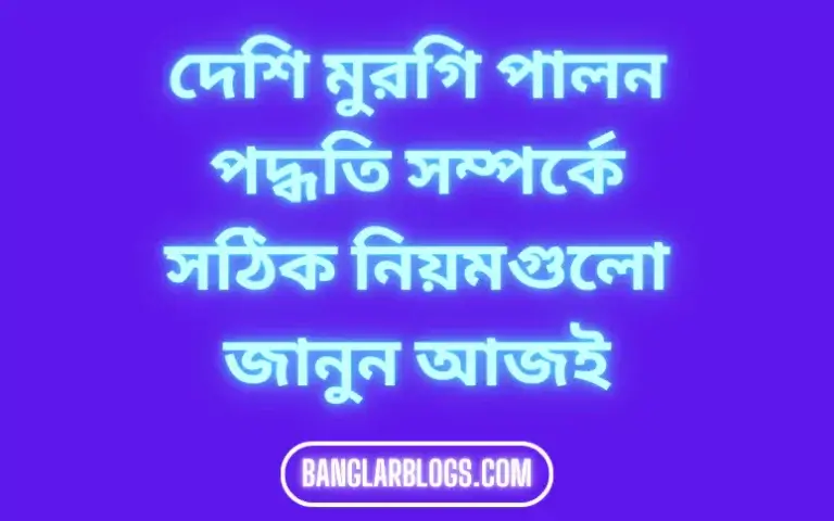 দেশি মুরগি পালন পদ্ধতি