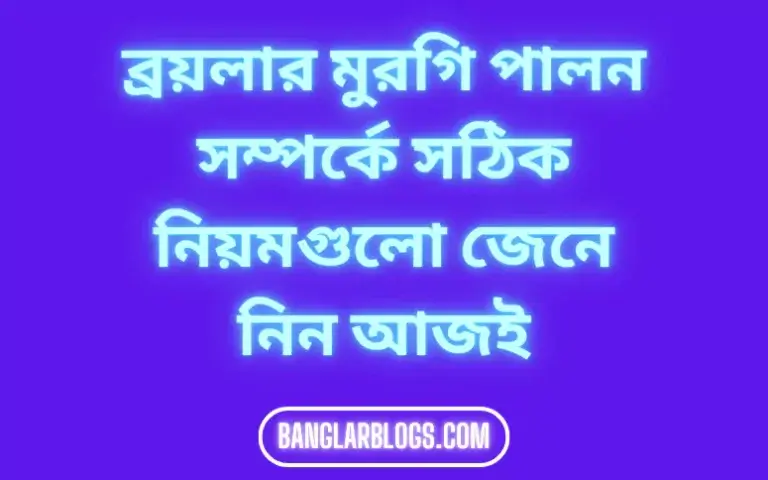 ব্রয়লার মুরগি পালন